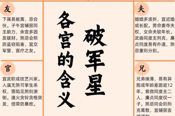 紫薇斗数工作怎么看