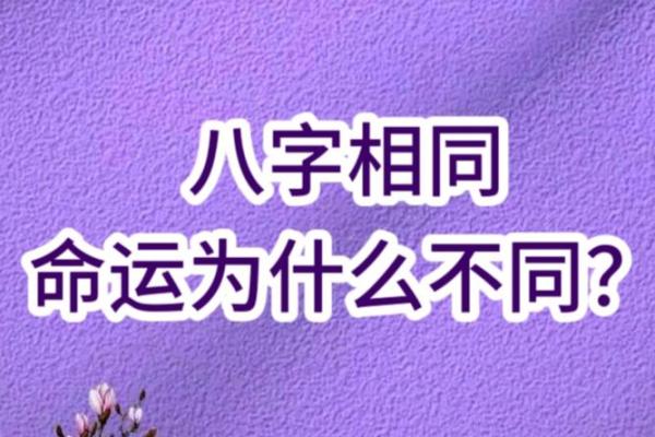 八字同步