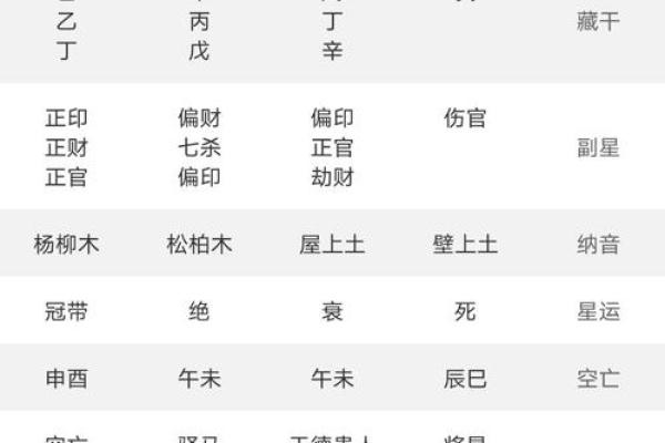 电脑紫薇斗数软件