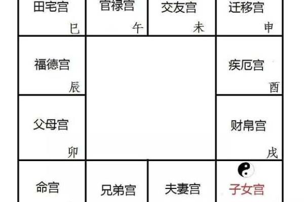 紫薇斗数命盘会照