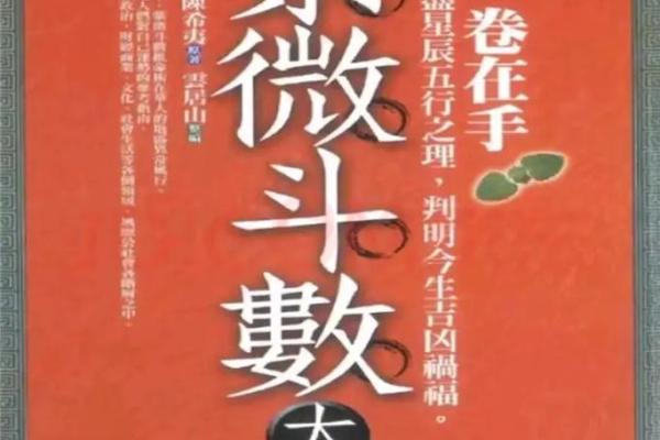 紫薇斗数传人