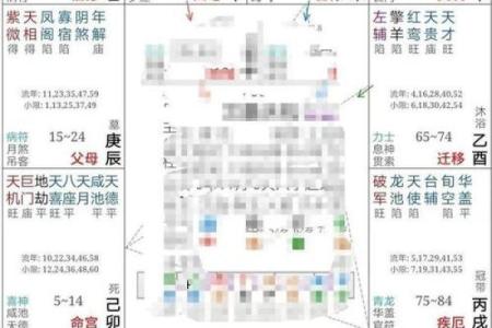 紫微斗数排盘