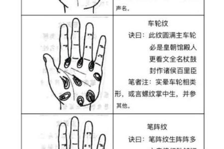 看手纹测命运图解 手相学图解算命大全
