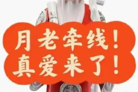 美女找月老姻缘