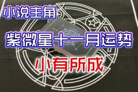 天降紫薇星占卜