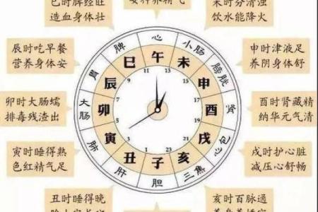 出生年月日时辰算命：生年各人命运如何