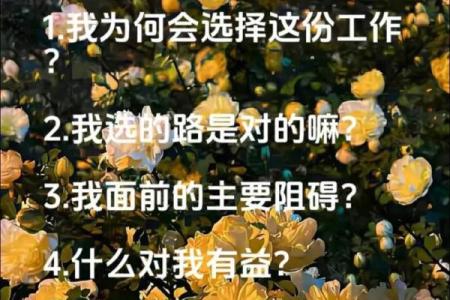 塔罗测试你对事业成功的标准是什么-