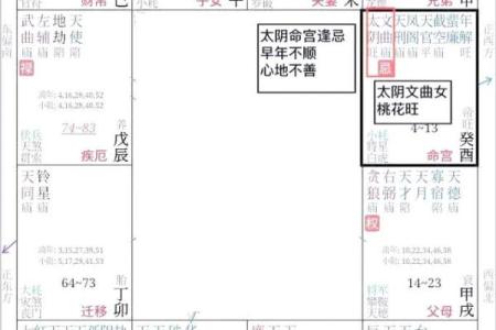 紫薇斗数不成命格