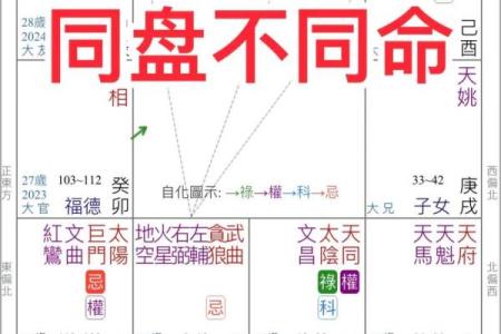 女强人命格紫微斗数 女强人的命不好吗？