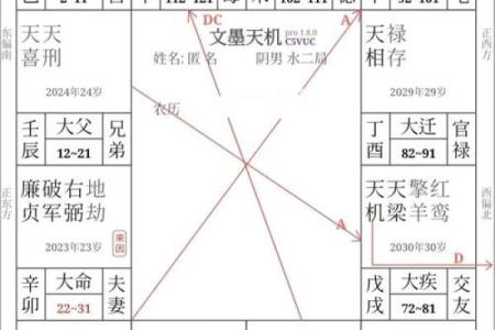 紫薇斗数破格是什么意思