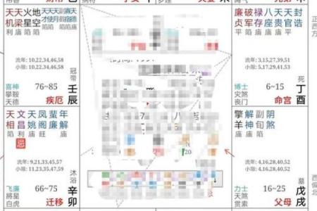 紫微斗数夫妻宫在亥无主星 加桃花主配偶有艺术才能