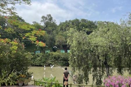 广州莲花山附近算命先生