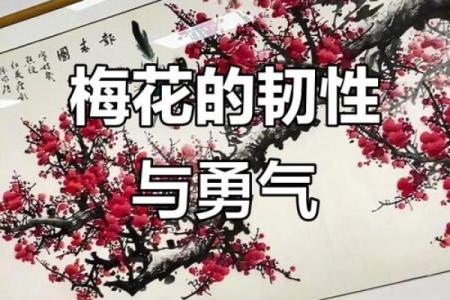 梅花风水_我秀了一副两米多的霜雪梅花图按风水是挂在西墙上好还是东墙上好