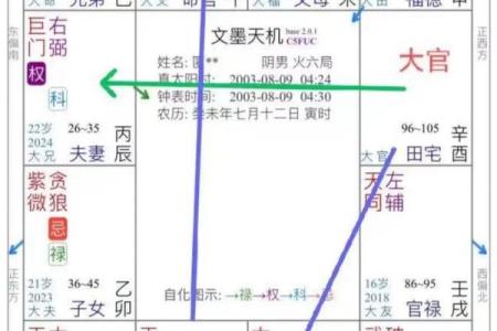 紫微斗数看事业／学业
