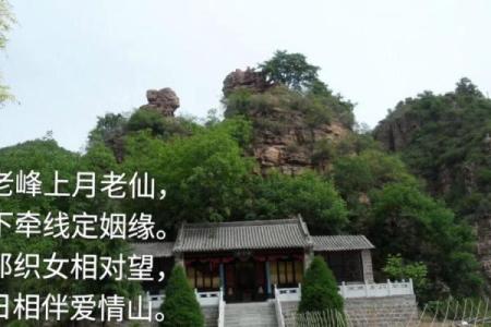 月老姻缘树有几种 月老姻缘树是什么树？