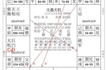 紫薇斗数是按虚岁
