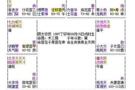 紫薇斗数一等命盘