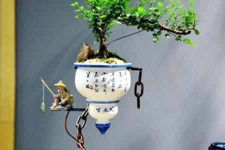 盆景风水_家里摆放什么盆景更好