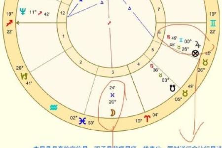 八字星盘