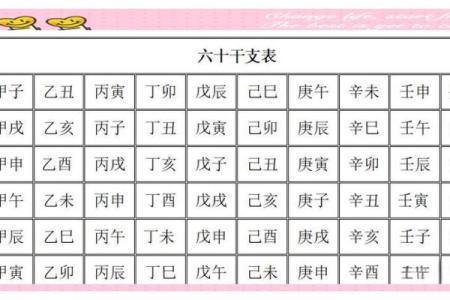 八字基础，干支阴阳差异