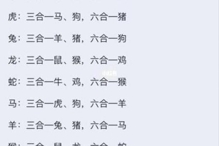 八字算命生肖六合是什么意思