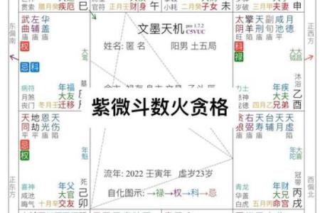 紫薇斗数创业流年