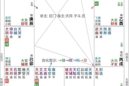 紫薇斗数命宫原理