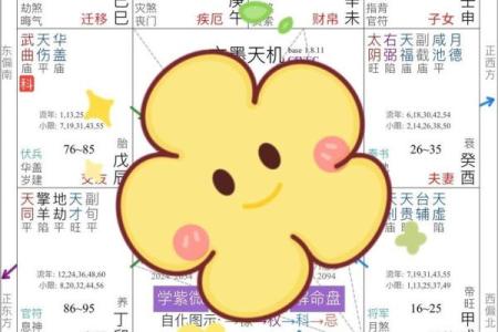 紫微斗数案例18健康：大运迁移宫多忌，哪些宫位会冲命宫？