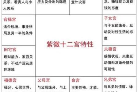 紫薇斗数紫薇星在身宫
