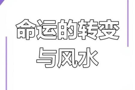 命 运 风水