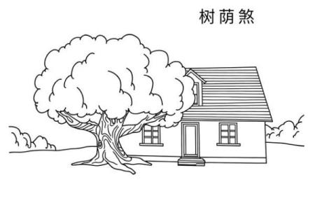 房子各个方位栽树好吗风水