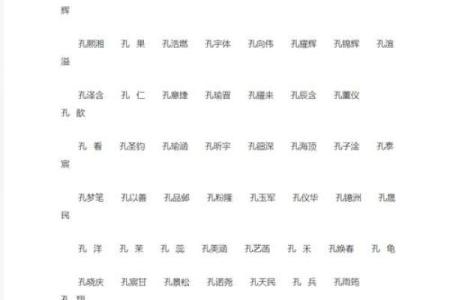 孔姓男孩名字大全-孔姓男孩起名字大全-孔姓名字大全姓名
