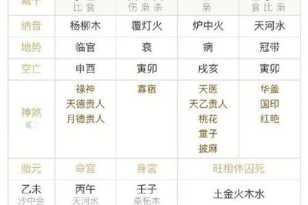 丁在八字