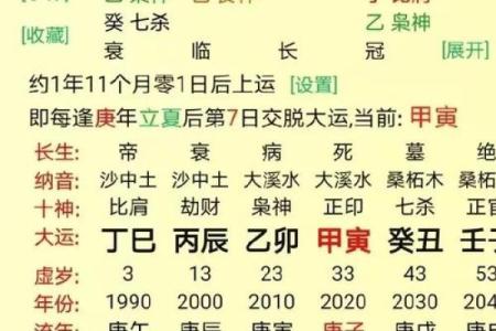 农历年月骨相算命图解,熊骨的人命好