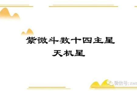 紫微斗数星宿详解天机星 紫薇星天机星？