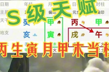 《八字黄金点拨》5（ 甲生寅月戊辰时 ）