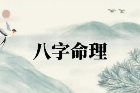 无子女八字