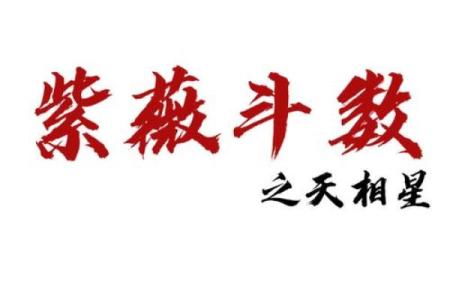 紫薇斗数天官