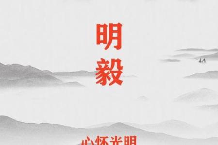 2019年出生的姓吴男孩如何起名，宜用什么字姓名