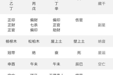 电脑紫薇斗数软件