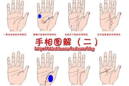 女人手纹算命图解,有福气的女人手相
