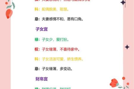 紫微斗数术语解释之：四化星