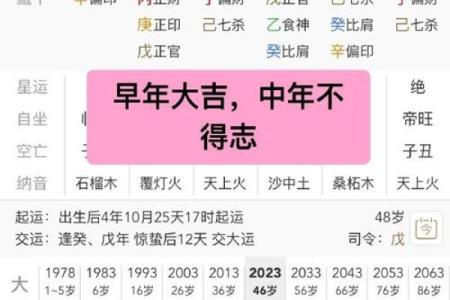 2024年农历十月什么时辰出生的人八字格局高