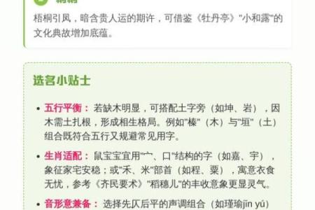 怎么样给晚上10点出生的属鼠男孩起名姓名
