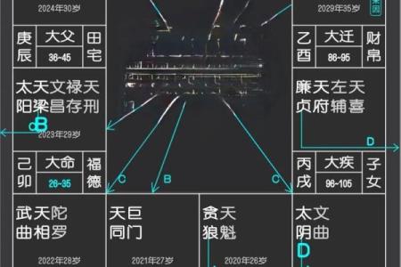 紫微斗数诸星落诸宫之：太阳星官禄宫详解