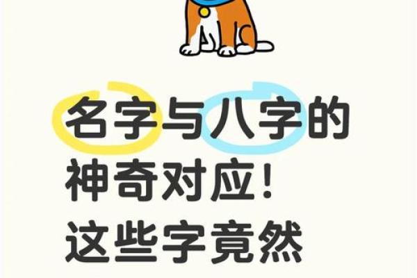 如何选择与八字配合的好名字