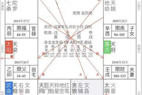 紫薇斗数身主天机
