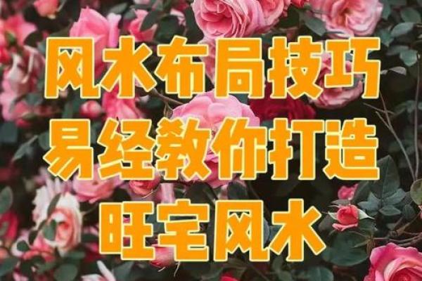 好的家庭风水离不开合理的布局 想要财旺家旺的就赶紧行动起来