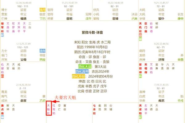紫薇星盘怎么排