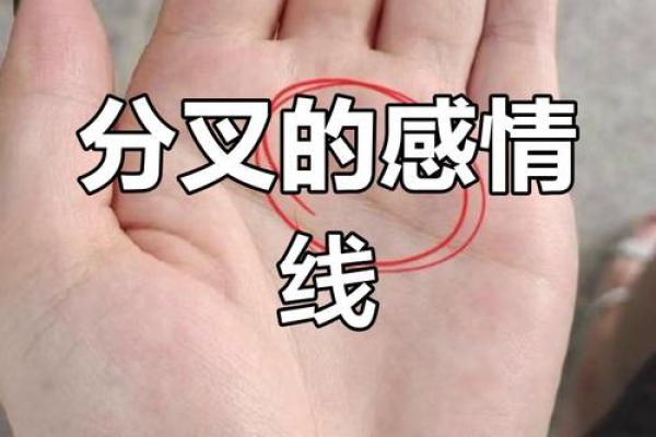 看手相算命：第二课 婚姻感情